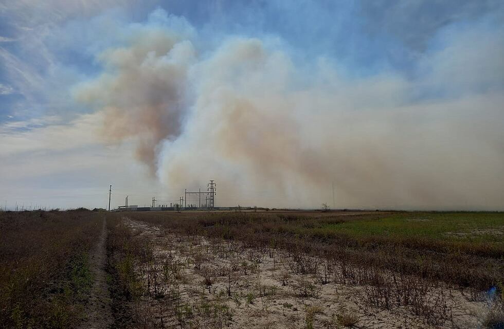 Pérez: Incendio forestal