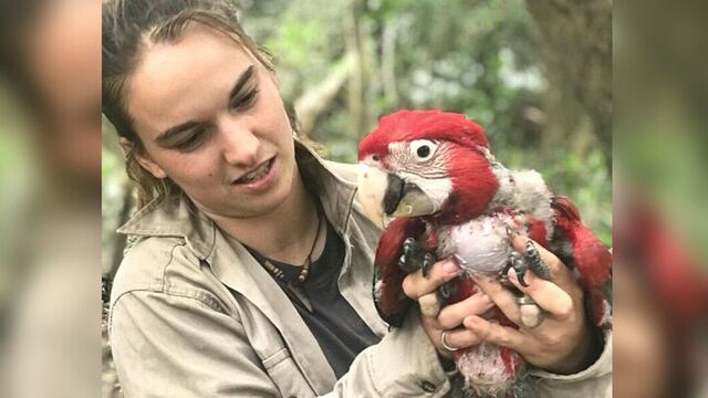 La increíble historia de Marianela Masat, la coordinadora del proyecto de reintroducción del guacamayo rojo.