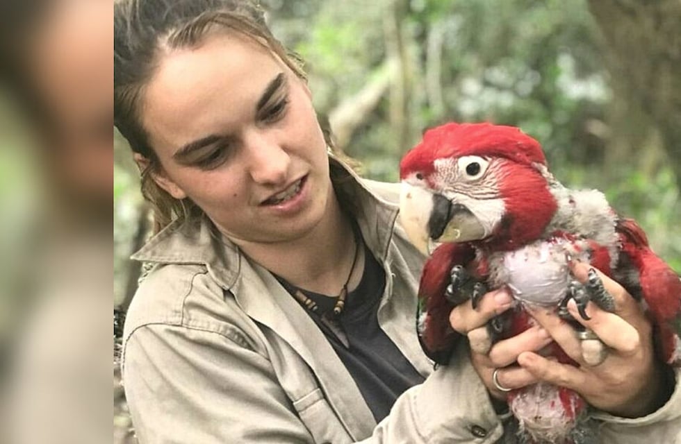 Se dedica a reintroducir al guacamayo rojo en Corrientes y escribe las historias más inspiradoras sobre este animal: conocé a Marianela