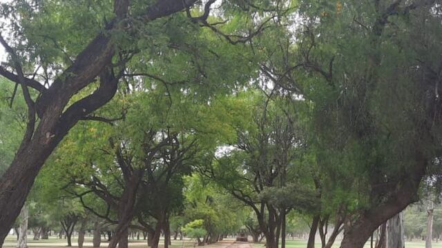 Acondicionan el Parque Adán Quiroga para la celebración de la Virgen del Valle.