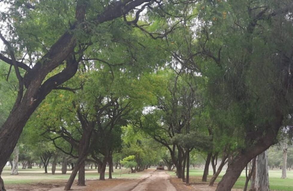 Acondicionan el Parque Adán Quiroga para las festividades de la Virgen del Valle