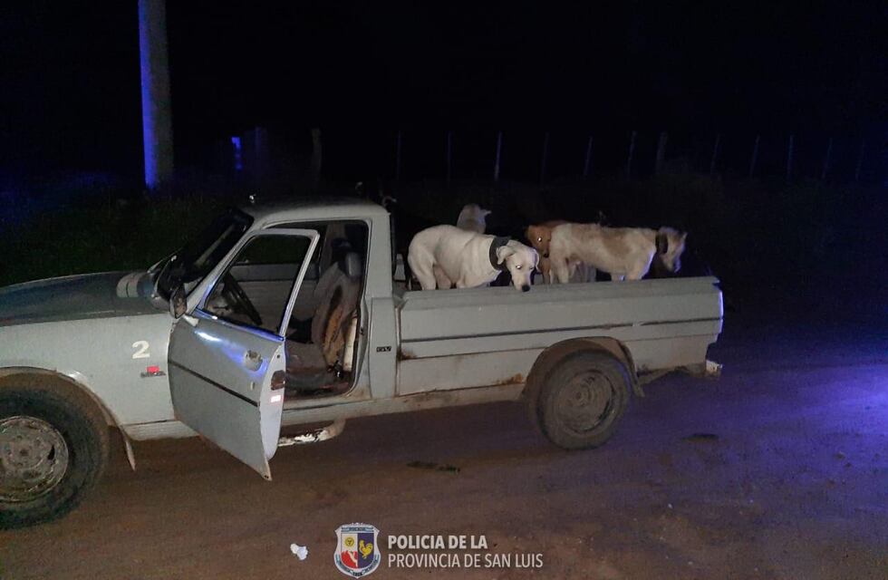 Buena Esperanza: Detienen a 3 cazadores furtivos