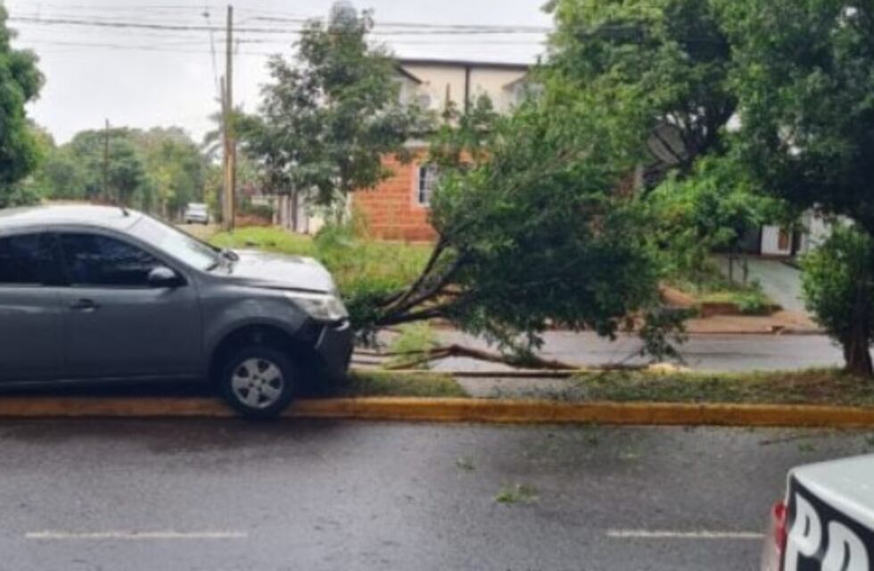 Accidente vial sin heridos se registró en Posadas