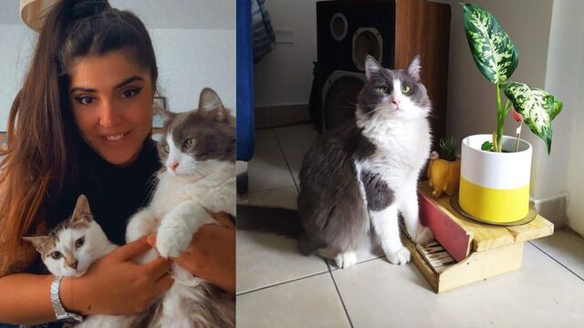 Rocío junto a Limón y Almendra.