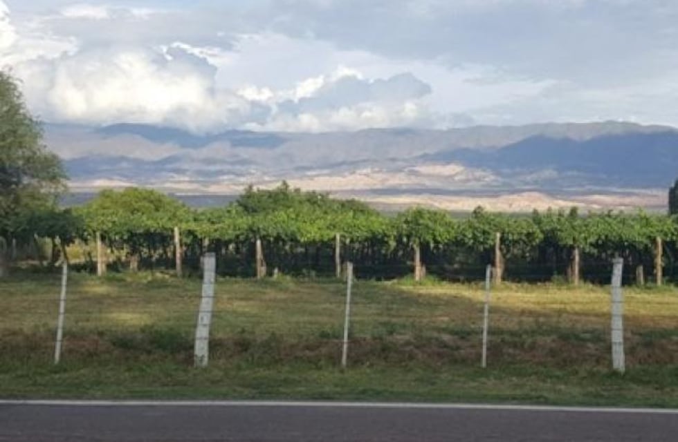 Los productores de los Valles Calchaquíes comenzaron a percibir la ayuda económica del Gobierno Provincial
