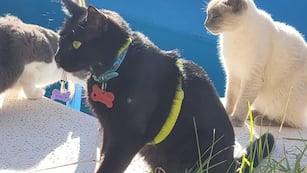 "Negrito" volvió a Neuquén con su familia. (Foto: Gentileza)