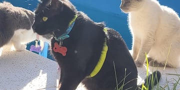 "Negrito" volvió a Neuquén con su familia. (Foto: Gentileza)