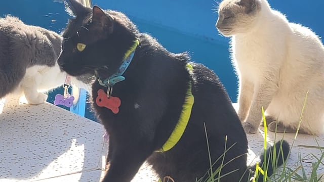 "Negrito" volvió a Neuquén con su familia. (Foto: Gentileza)