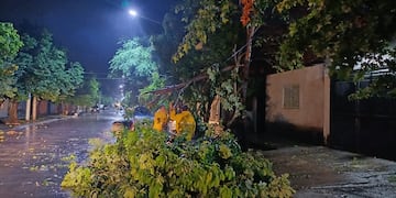 Con un registro de 100 mm en una hora, equipos municipales e instituciones trabajan en asistencia.