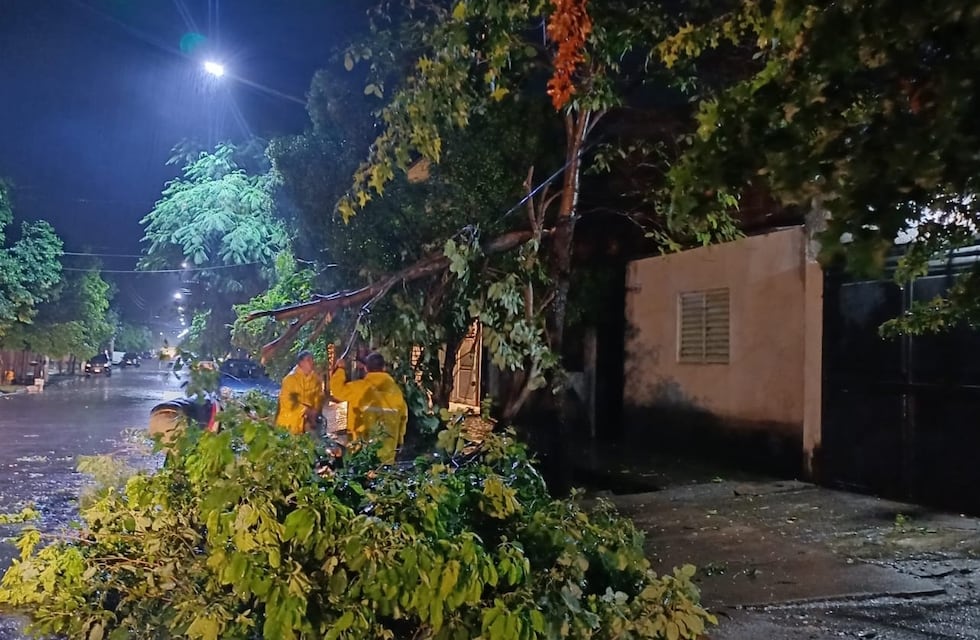 Operativo de emergencia por el temporal en Concepción