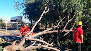 Las consecuencias del temporal en la ciudad de Córdoba.