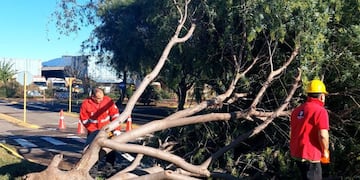 Las consecuencias del temporal en la ciudad de Córdoba.