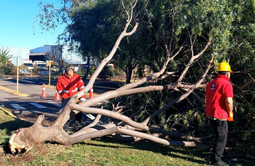 El barrio de Córdoba que registró ráfagas de viento de 110 kilómetros por hora
