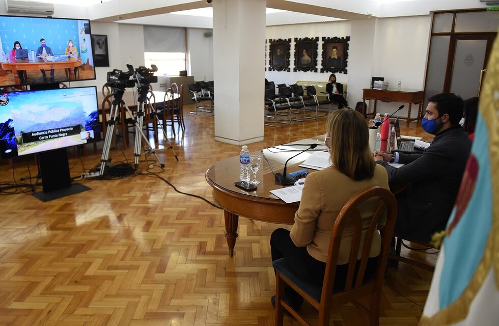 Más de 650 asistentes a la audiencia pública virtual por los proyectos en Cerro Punta Negra