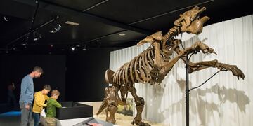 Pehuen Co en la muestra GIANTS en Bruselas.