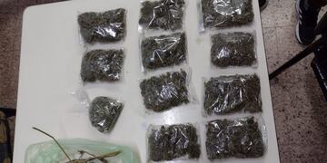 Secuestraron doce bolsas de cogollos en Luján de Cuyo