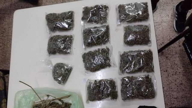 Secuestraron doce bolsas de cogollos en Luján de Cuyo