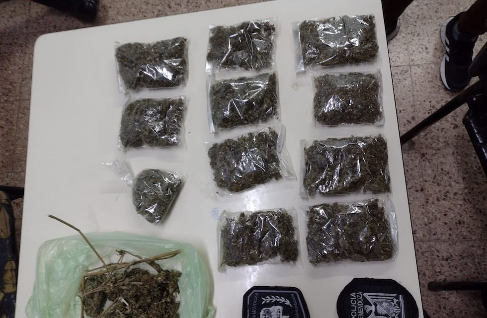 Detuvieron a dos dealers de marihuana en Luján de Cuyo