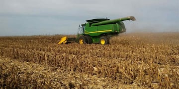 Avanza la zafra 2024 en el Norte.