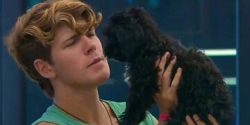 Mora, la perra de Gran Hermano, pasó por la peluquería y salió irreconocible.