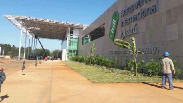 Inusual visita al Aeropuerto de Puerto Iguazú: creen que avistaron a un yaguarundi.