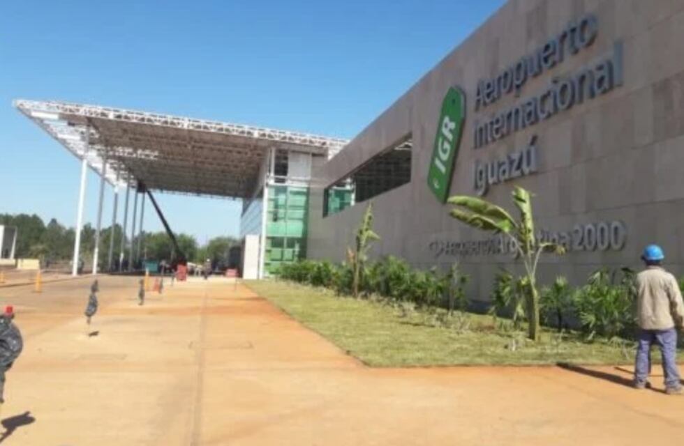 Inusual visita al Aeropuerto de Puerto Iguazú: creen que avistaron a un yaguarundi