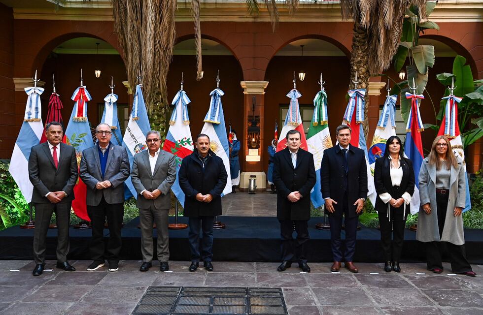 Gobernadores del Norte Grande y el Litoral reclaman una tarifa eléctrica diferencial