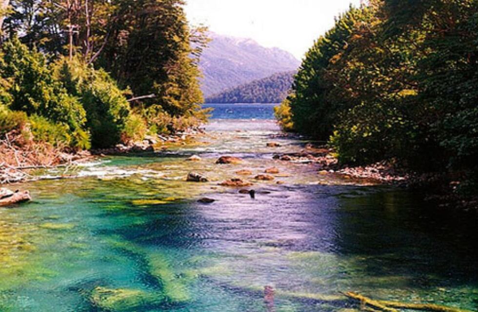 Uno de los ríos más cortos del mundo está en Neuquén y sus aguas cristalinas son un verdadero sueño