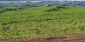 Ola Verde en las playas de Claromecó