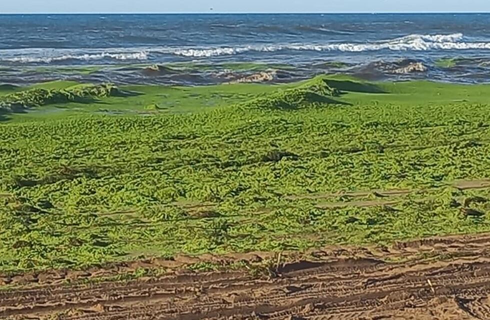 Ola Verde en las playas de Claromecó