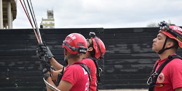 Personal de Bomberos tuvo que rescatar al animal.