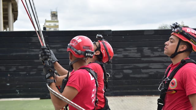 Personal de Bomberos tuvo que rescatar al animal.