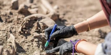 Los científicos del Conicet descubrieron un nuevo dinosaurio que podría haber vivido hace muchos años en la Patagonia.