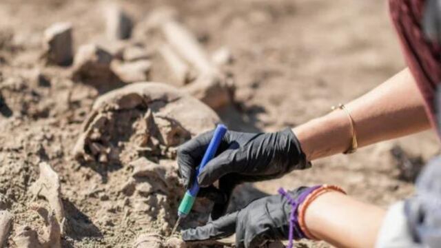 Los científicos del Conicet descubrieron un nuevo dinosaurio que podría haber vivido hace muchos años en la Patagonia.