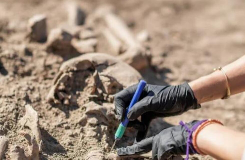 Asombroso hallazgo: encontraron una nueva especie de dinosaurio que vivió hace 86 millones de años en Neuquén