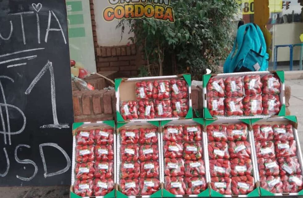 ¿Afecta la inflación en Córdoba?: furor por el verdulero que cotiza la “frutia” en dólares