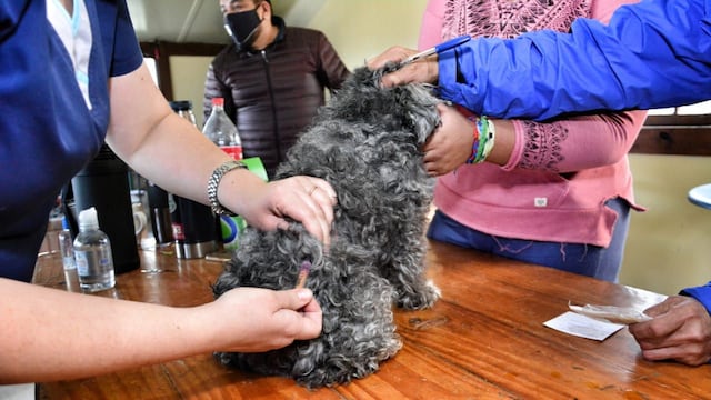 “Zoonosis más cerca” se ubicará en el B° Bahía Golondrina