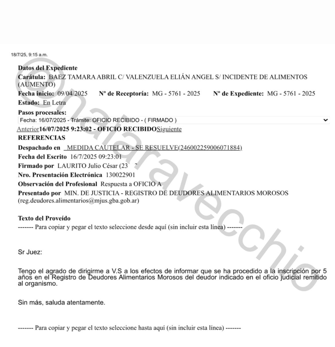 El documento que expone el nuevo problema que enfrenta L-Gante.
