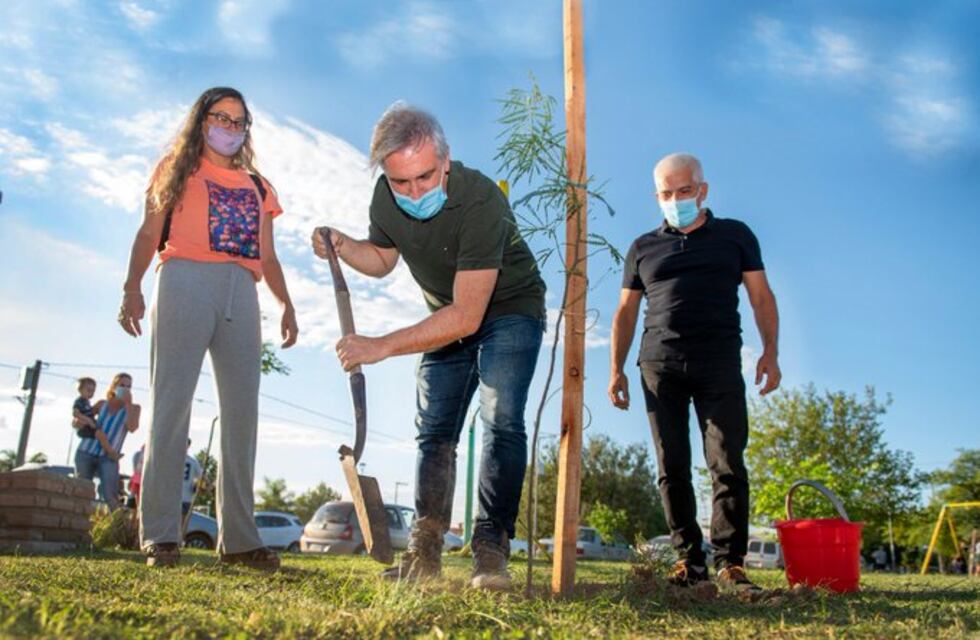 En la gestión Llaryora, 15 mil árboles plantados en Córdoba