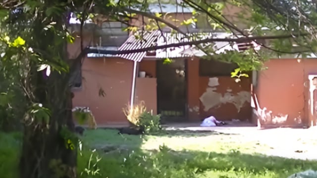 La familia de las víctima denunció robos en la vivienda.