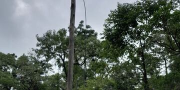 Eldorado: roban los cables de fibra óptica.