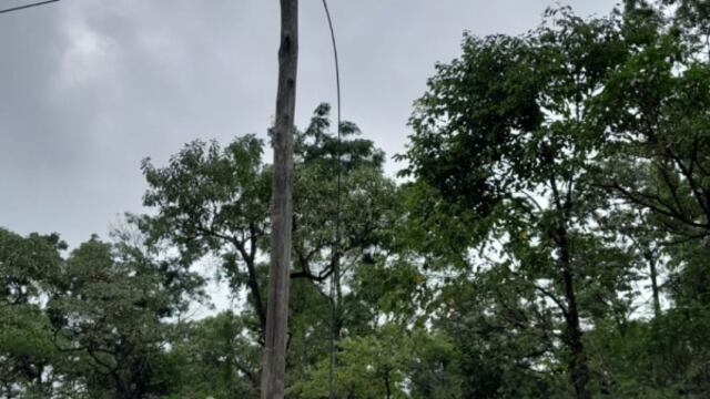 Eldorado: roban los cables de fibra óptica.