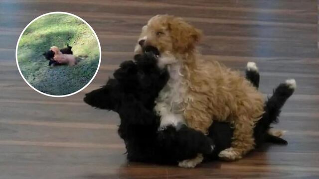 El reencuentro más esperado, Caramelo y Mora de Gran Hermano nuevamente juntos