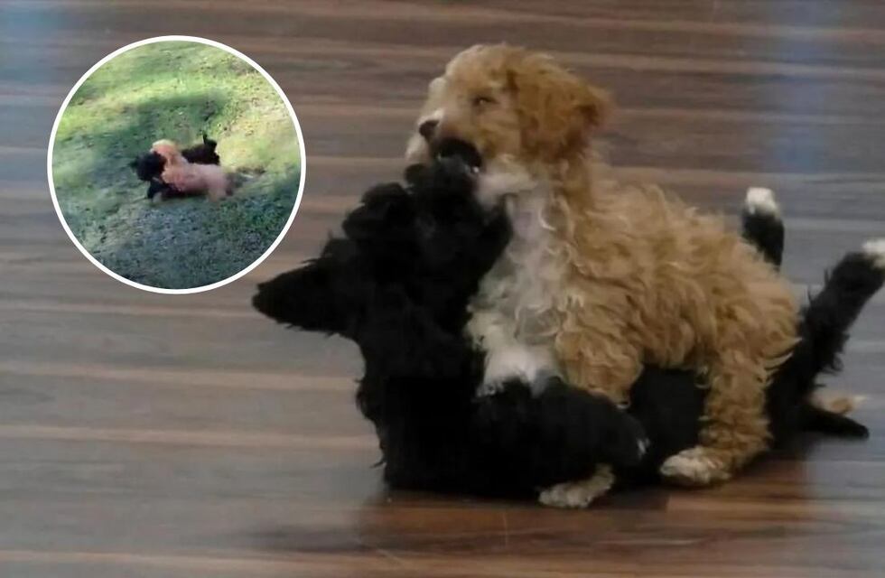 El reencuentro más esperado, Caramelo y Mora de Gran Hermano nuevamente juntos