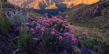 Un cordobés filmó una película porno en las Sierras.