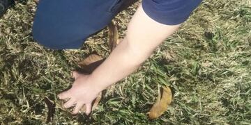 Preso. Eric Van de Velde quedó imputado y se esperan peritajes psiquiátricos. (Instagram)