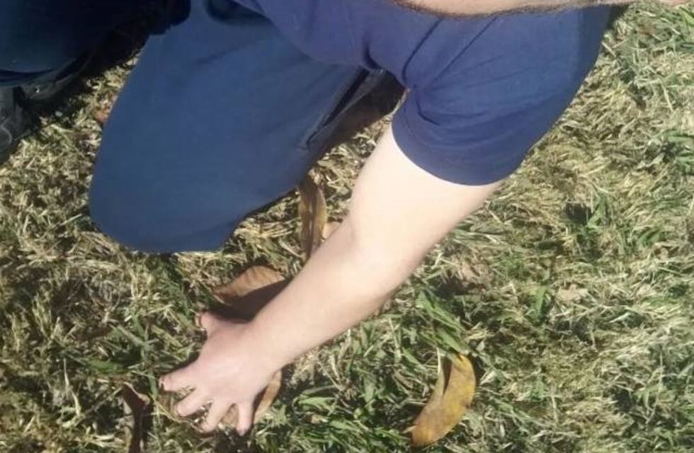 Habló el padre del joven que asesinó a su sobrino en Córdoba, y lamentó la inacción del Juzgado