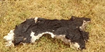 Siguen los hechos de inseguridad en la zona rural de Rafaela