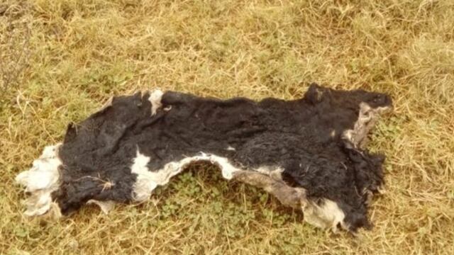 Siguen los hechos de inseguridad en la zona rural de Rafaela