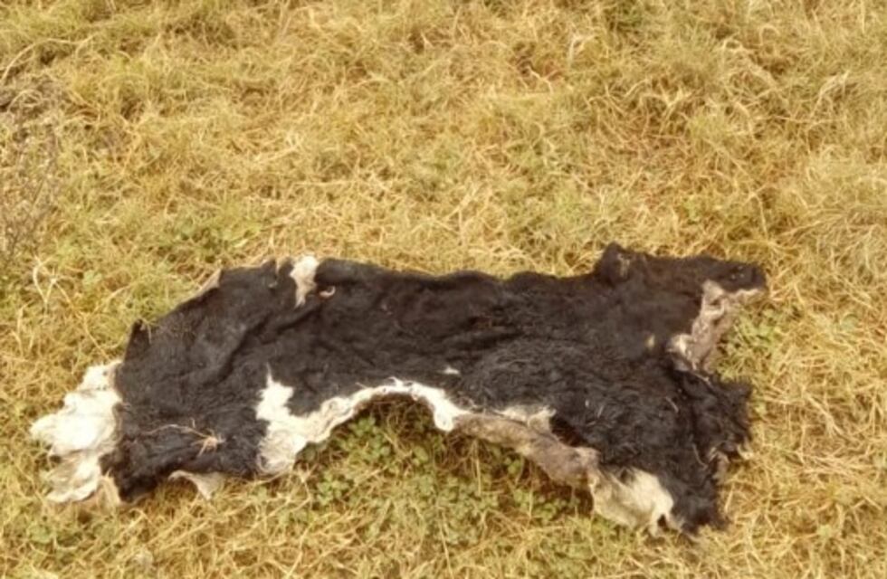 La Sociedad Rural de Rafaela insiste: hay que denunciar los hechos de inseguridad